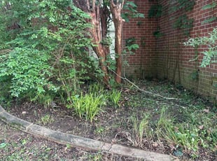 Weeding by Montrail Cobb for Bryan M. in Memphis, TN