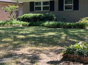 Bush Trimming by Nicole Ross for Christine P. in Houston, TX