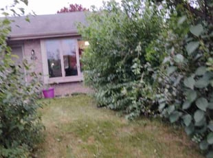 Cleanups by Jeremy Dezotell for Charles H. in Madison, WI