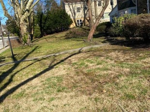 Bush Trimming by Moreno Santiago for Ajay P. in Elkins Park, PA