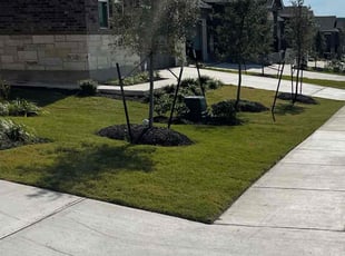 Adrian L.'s Lawn Mowing service result