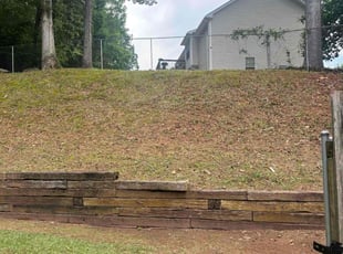Leaf Removal by Yaneth Figueroa for Willie B. in Ellenwood, GA
