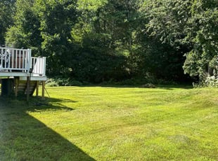 Tepsiri H.'s Lawn Service service result