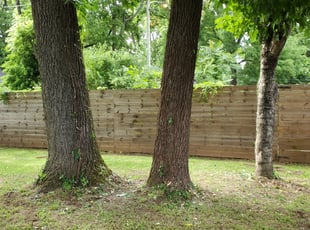 Bush Trimming by Austin Crouse for Eric W. in Nashville, TN