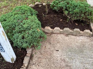 Weeding by Juan Wong for Stuart D. in Spring, TX
