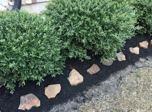 Mulching by Manuel Nunez for Amy L. in Katy, TX