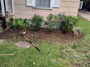 Bush Trimming by Hussein Kamel for Jennifer C. in Austin, TX