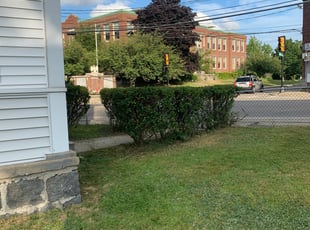 Weeding by Robert Ellard for Florence L. in Quincy, MA