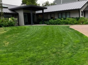 Heather W.'s Lawn Mowing Service service result
