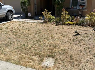 Bush Trimming by Juan Martinez for Chris T. in Stockton, CA