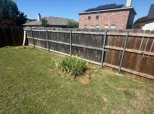 Bush Trimming by Nicolas Simkins for Cam P. in Justin, TX