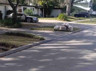 Leaf Removal by Willie Carmichael for Charlie K. in Orlando, FL