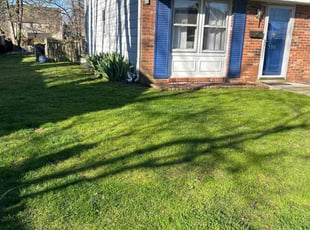 Connie M.'s Lawn Mowing Service service result