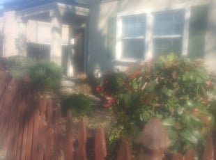 Bush Trimming by Wilfredo Nunez for Ehsan G. in Sacramento, CA