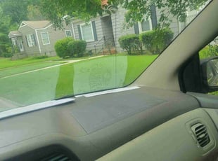 Weeding by Montereous Collier for Phyllis G. in Huntsville, AL