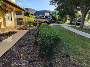 Bush Trimming by Rolando Mojica Betancourt for Amr A. in St. Cloud, FL