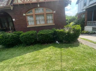 Bush Trimming by James Abernathy for Jacqueline G. in Cincinnati, OH