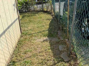 Elizabeth S.'s Lawn Maintenance service result
