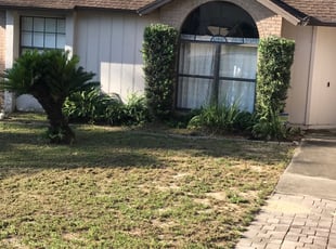 Bush Trimming by Mila Boza for Gary A. in Orlando, FL