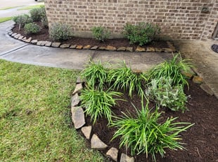 Mulching by Francisco Prado for Whitney T. in Alvin, TX
