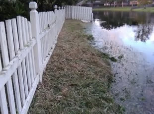 Cleanups by Charleyne Brown for Shannon G. in Jacksonville, FL