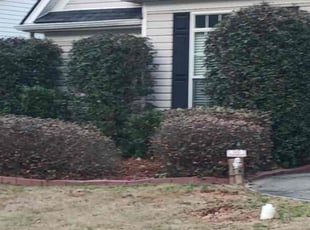 Bush Trimming by Michael Marshall for Lincoln F. in Lawrenceville, GA