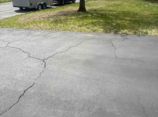 Leaf Removal by Troy Carroll for Gail P. in Albany, NY