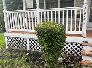 Bush Trimming by Tom Farley for Kam W. in Fredericksburg, VA