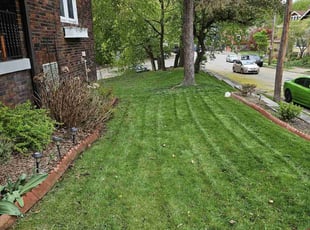 Leaf Removal by Brandon Morris for Eric B. in Pittsburgh, PA