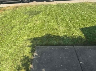 Sheri K.'s Lawn Mowing service result