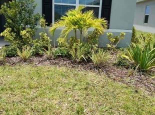 Weeding by Joseph Comerford for Donna L. in Palm Bay, FL