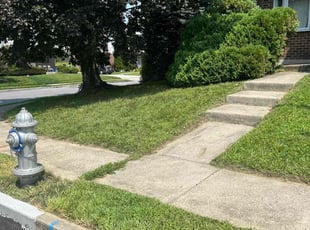 Lewis R.'s Lawn Mowing service result