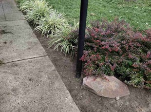 Weeding by Phillip Whitt for Marcos V. in Columbus, OH