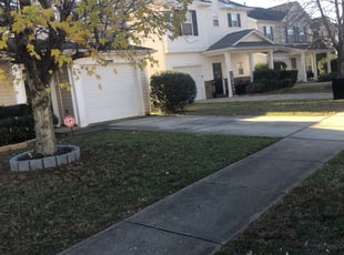Leaf Removal by Nick Reaves for Lisbeth F. in Charlotte, NC