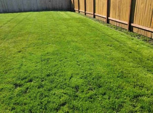 Karlene D.'s Lawn Mowing service result
