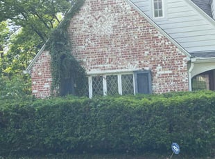 Bush Trimming by Brandon Mclearran for Alice L. in Dayton, OH