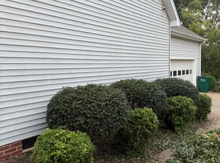 Bush Trimming by Evgenii Panchenko for Paul S. in Spartanburg, SC