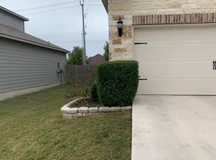 Bush Trimming by Stanmore Hinds for Symitria E. in Converse, TX