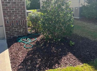 Bush Trimming by Clay Turner for Amy A. in Charlotte, NC
