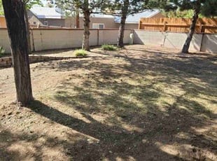 Leaf Removal by Manuel Romero for Joy D. in Albuquerque, NM
