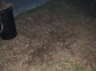 Cleanups by Michael Cotton for Elizabeth H. in Venice, FL