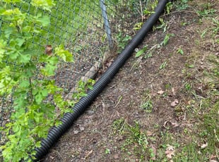 Leaf Removal by Andrew Banas for Ruth Y. in Schaumburg, IL
