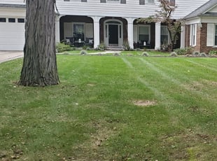 Leaf Removal by Dan Clay for Michelle L. in Toledo, OH