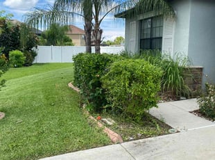 Bush Trimming by Corey Johnson for Landon H. in Riverview, FL