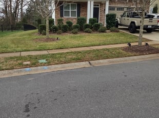 Leaf Removal by Michael Cherry for Caitlin C. in Charlotte, NC