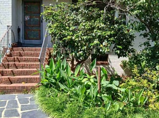 Bush Trimming by George Tureman for Janit J. in Richmond, VA