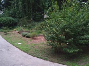 Bush Trimming by Mel Glo for Josiah B. in Atlanta, GA