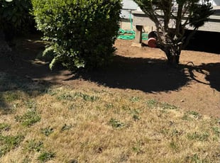 Weeding by Robert Norton for Kelley L. in Vancouver, WA