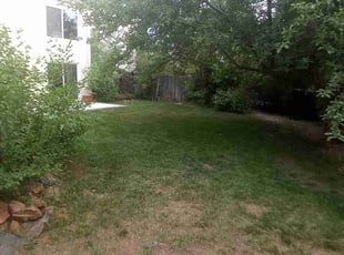 Bush Trimming by Baillie Bengheshir for Ian F. in Westminster, CO