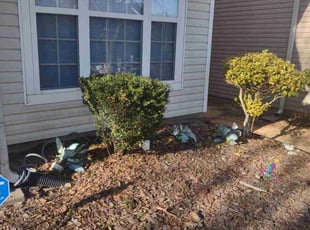 Bush Trimming by Chris Towery for Ruby R. in Lawrenceville, GA